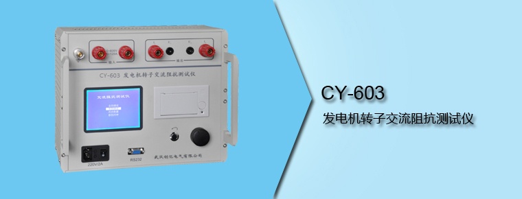 CY-603 發電機轉子交流阻抗測試儀