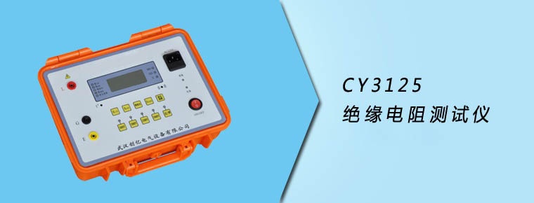 CY3125 絕緣電阻測試儀